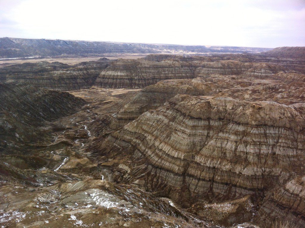 Overlooking Horsethief Canyon, near Drumheller, Alberta. Fossil country!