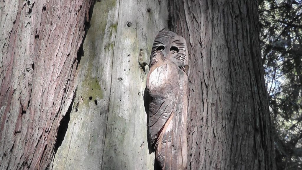 One of the many owl carvings along the Cable Bay Trail