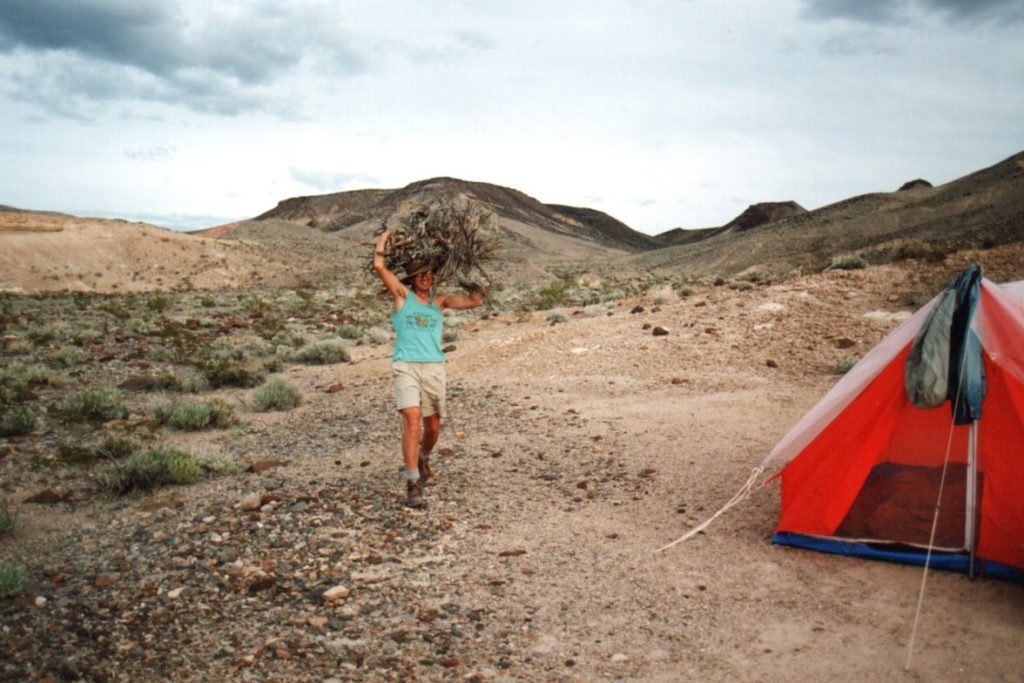 Foraging for firewood near Death Valley National Park