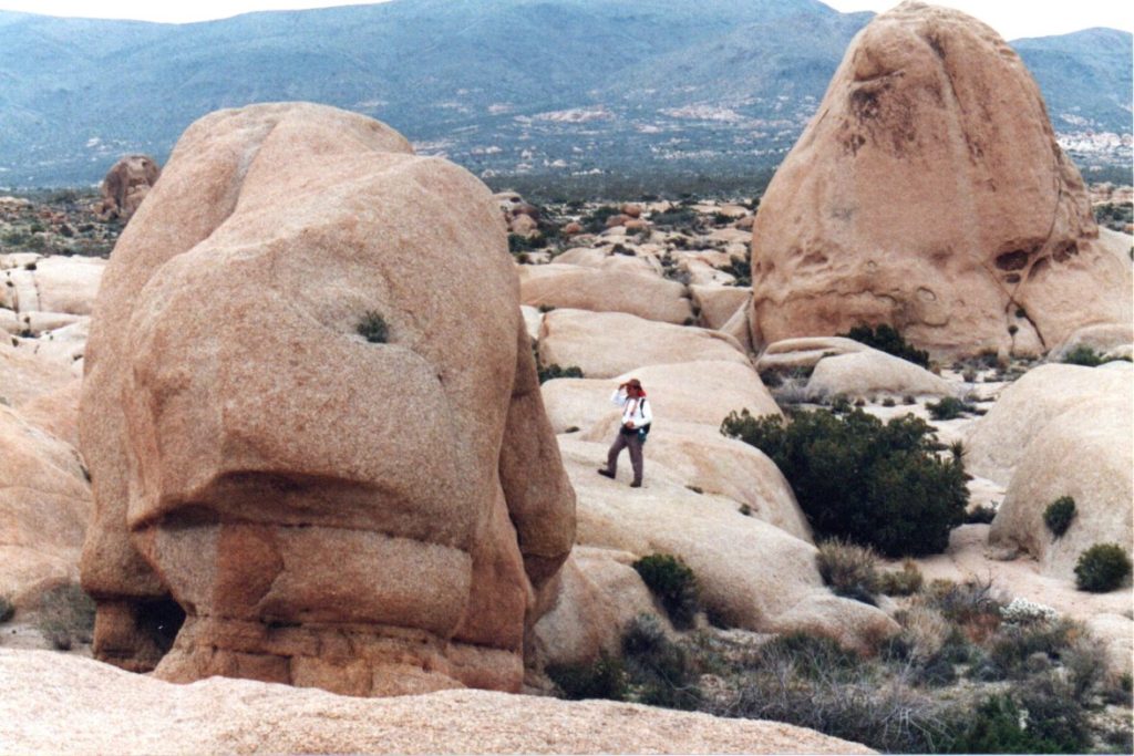 Near Jumbo Rocks-Joshua Tree National Park