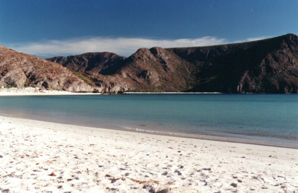 Unexpected joy in Baja Mexico