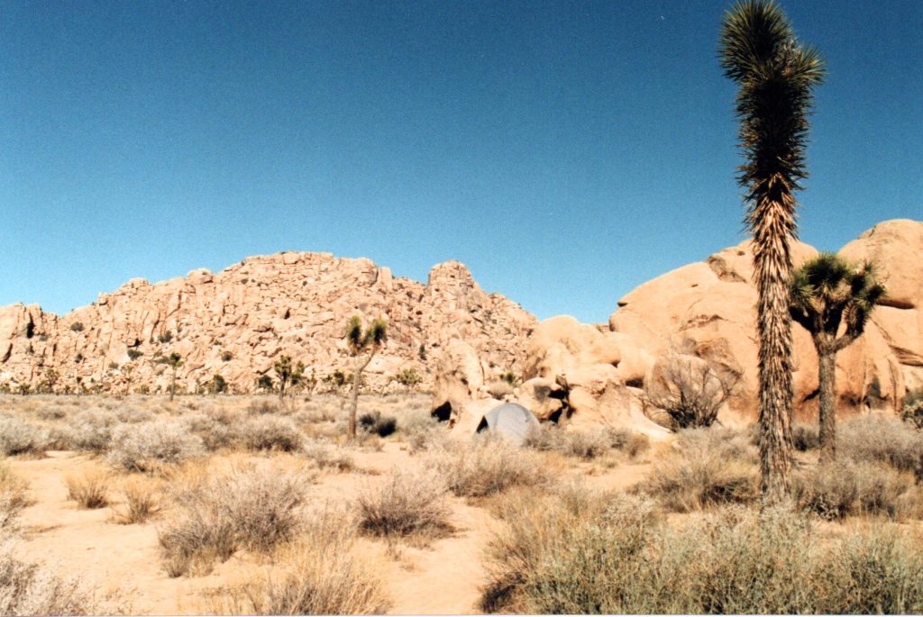 Campsite near the Boy Scout Trail