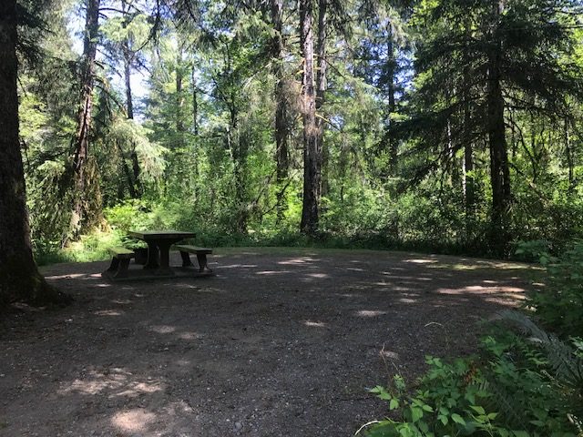 Miracle Beach campsite-Victoria Day weekend
