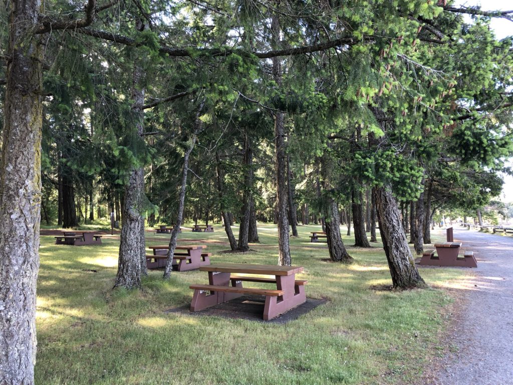 Best Family Camping-Rathtrevor Park