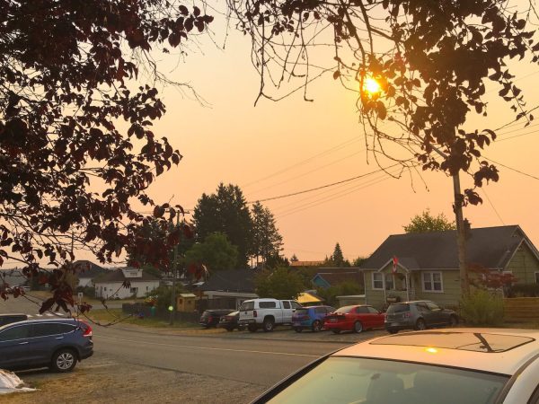 how to prepare for a wildfire emergency-morning smoke