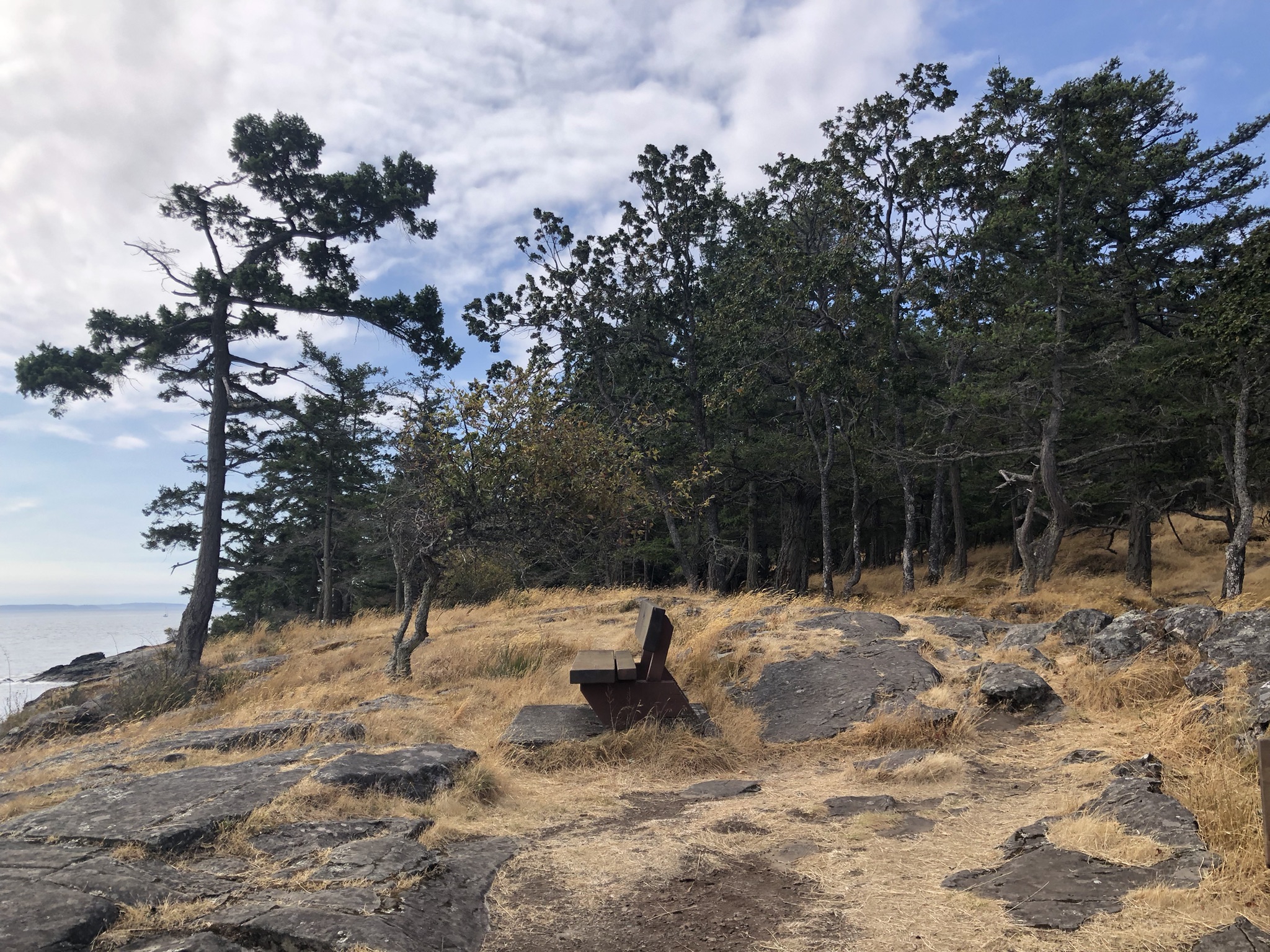 A wooden bench along a coastal trail on Saltspring Island, surrounded by trees and rock