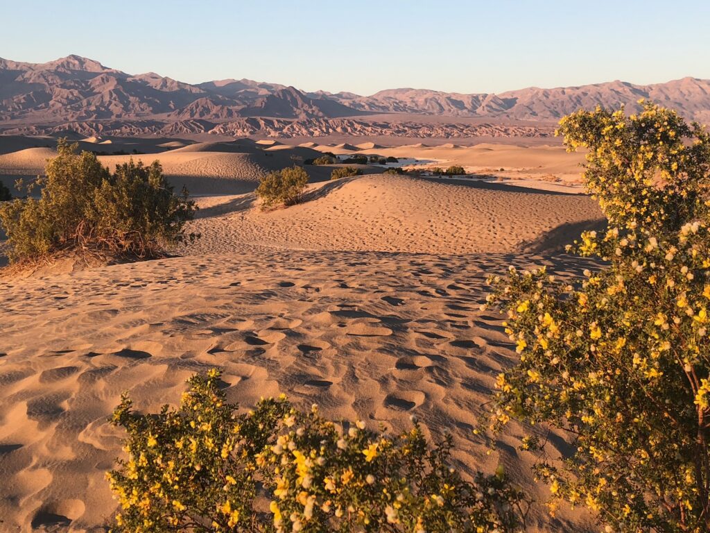 Mesquite Flats sand dunes at sunset-Death Valley road trip
