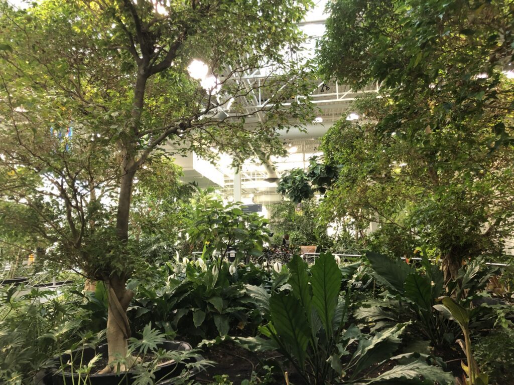 traveling with your teen for a university audition-inside the Devonian Gardens, Calgary